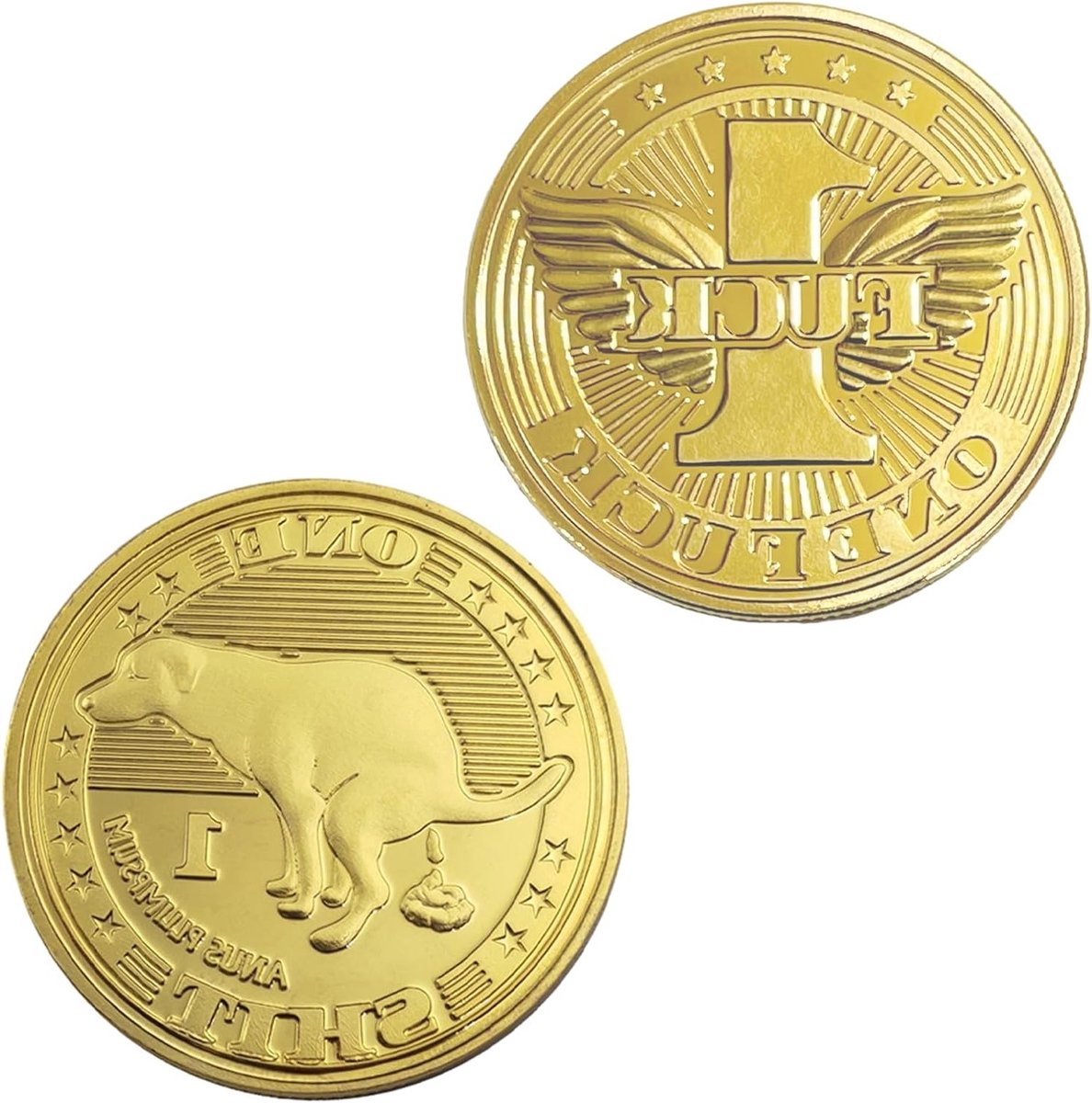 Grappige Cadeauset voor Volwassenen met Transparante Plastic Case en Gouden Munten voor Vrienden en Collega's, Perfect voor Feestdagen en Speciale Gelegenheden