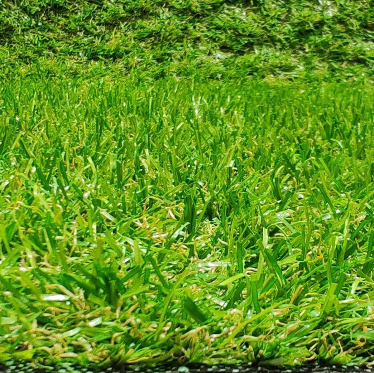 Kunstgras Tapijt - Balkon Tapijt Gazon - Terras Aankleden - Natuurlijke Uitstraling - 70 x 200 cm - Groen