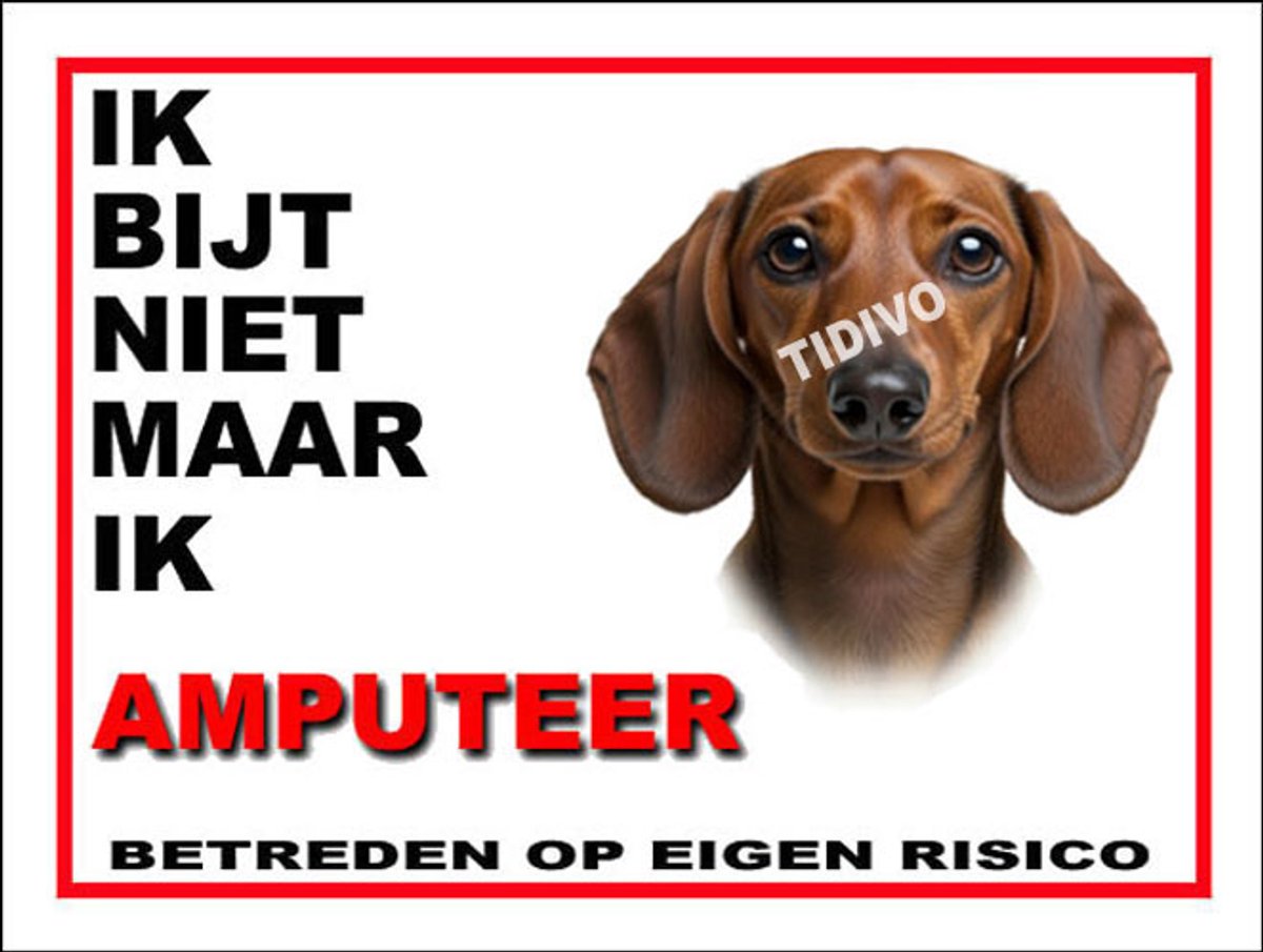 Dashond Dwerg, Korthaar 5