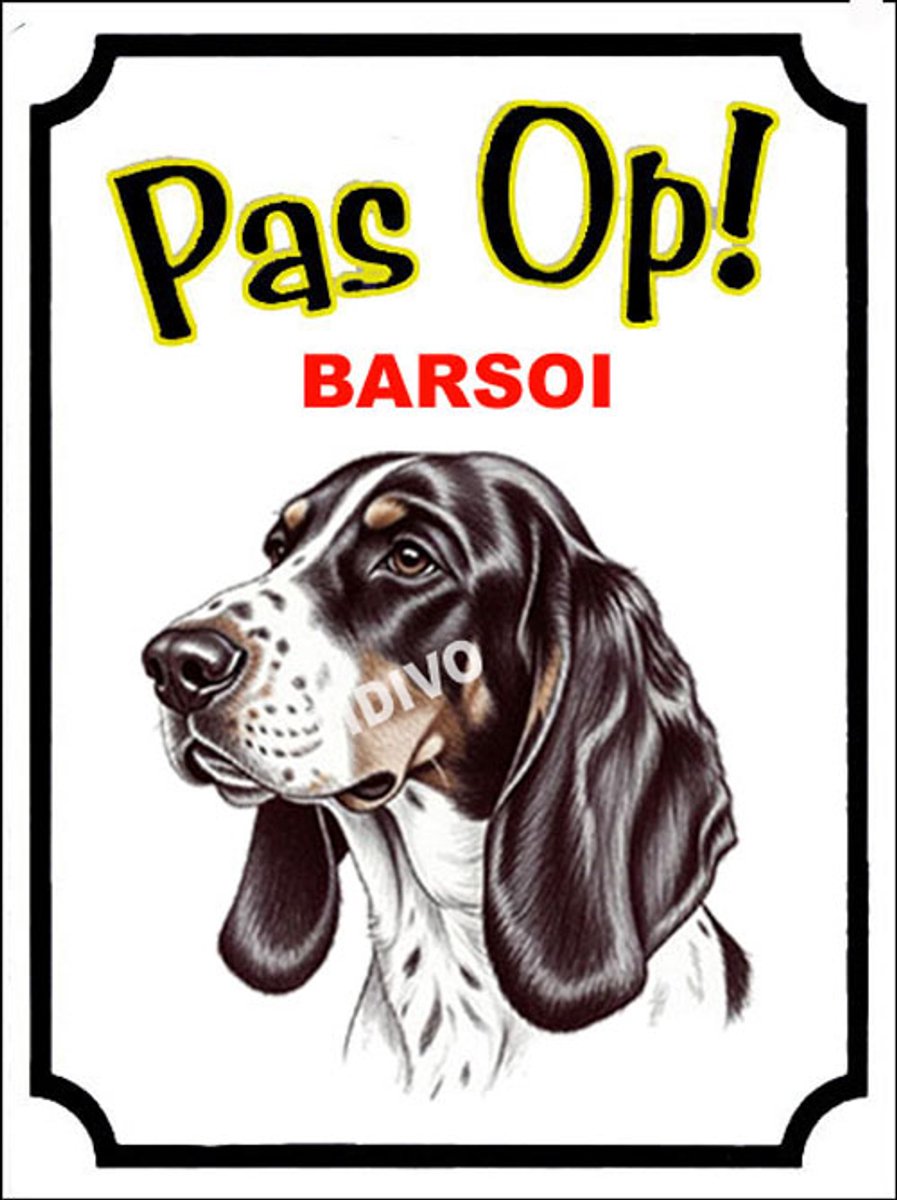 Barsoi 16