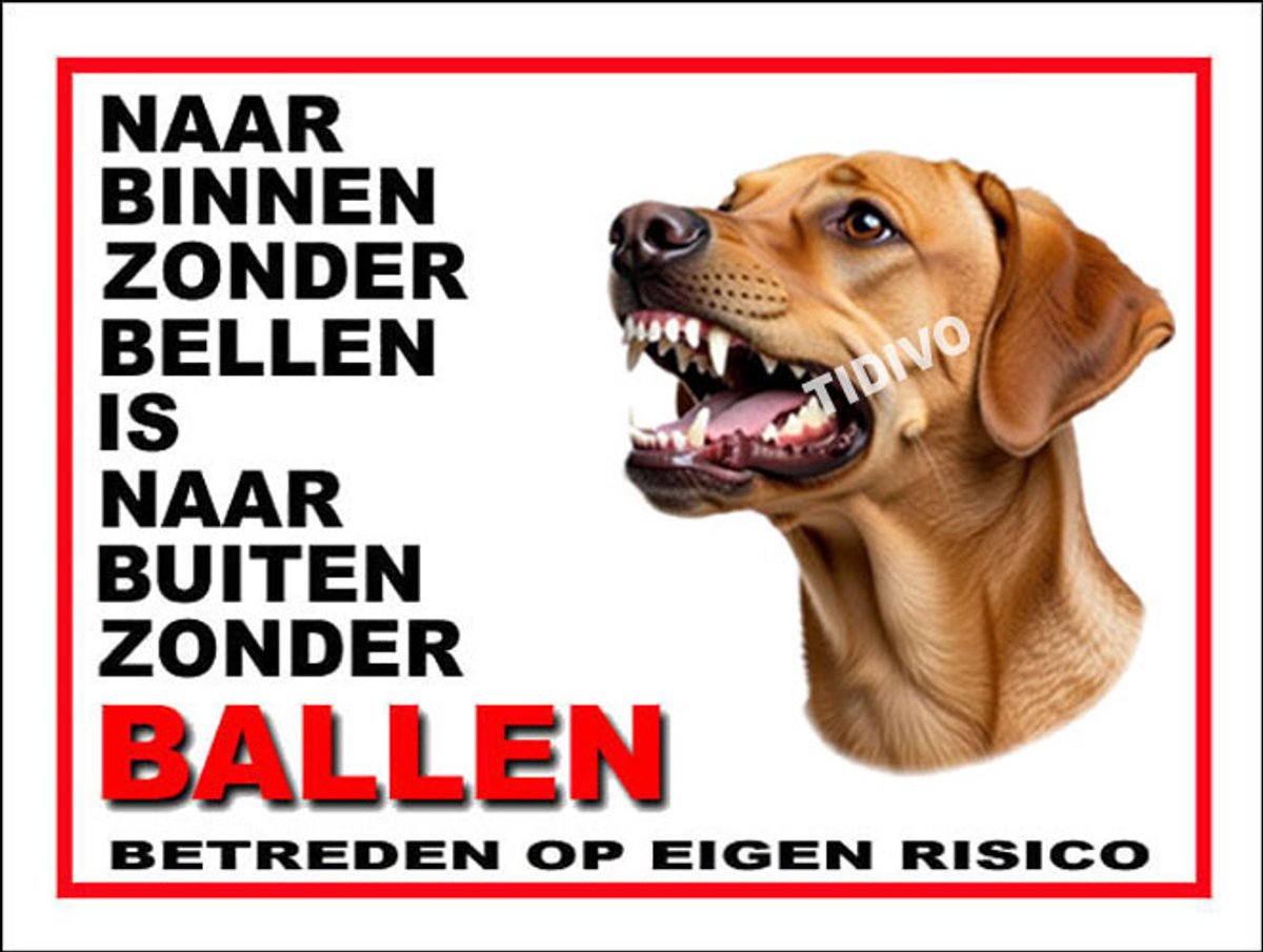 Broholmer 11