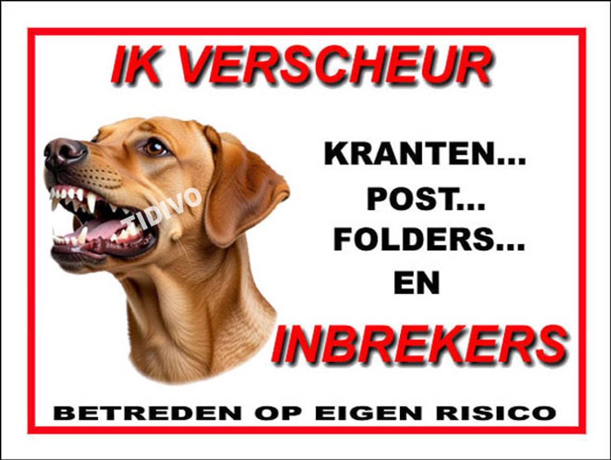 Broholmer 8