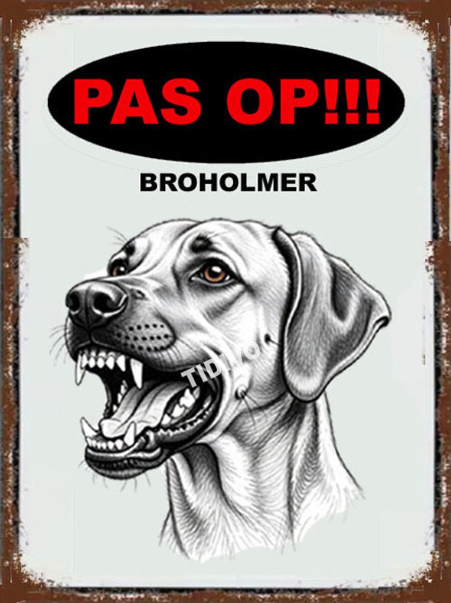 Broholmer 17