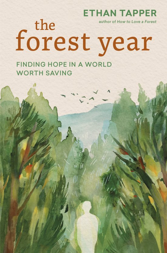 The Forest Year