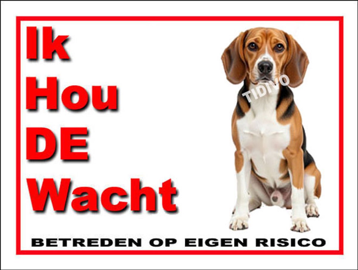 Beagle Harrier 7