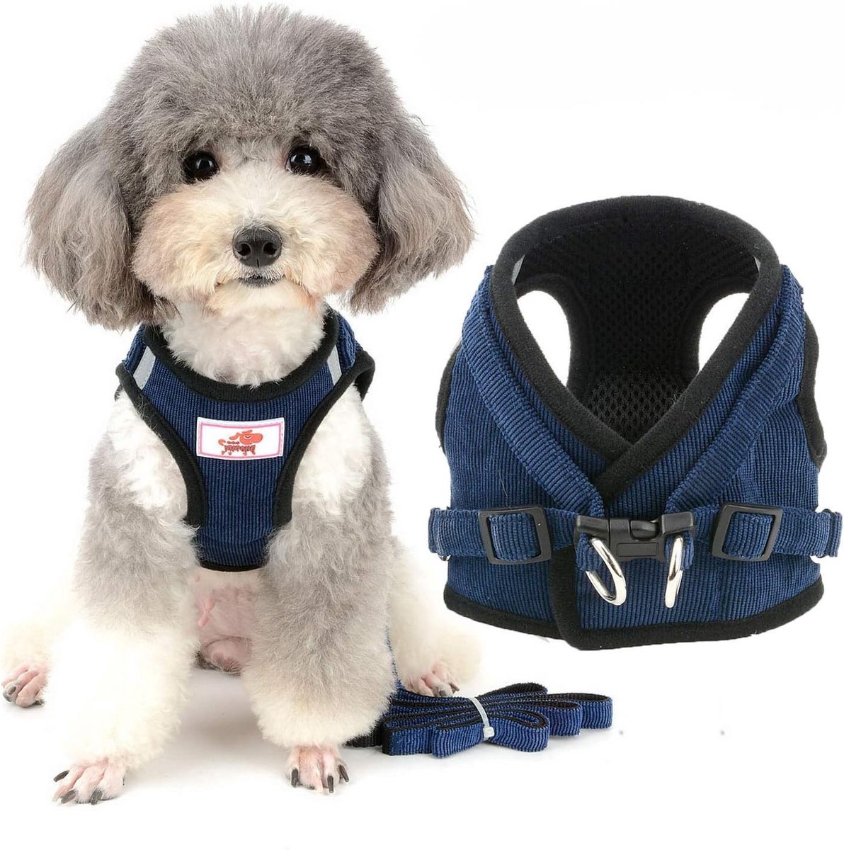 Verstelbare en Reflecterende Hondenharnas met Leash Set voor Kleine Honden en Katten, Ideaal voor Chihuahuas en Puppy’s, Zacht Mesh en Corduroy, Blauw, Maat S