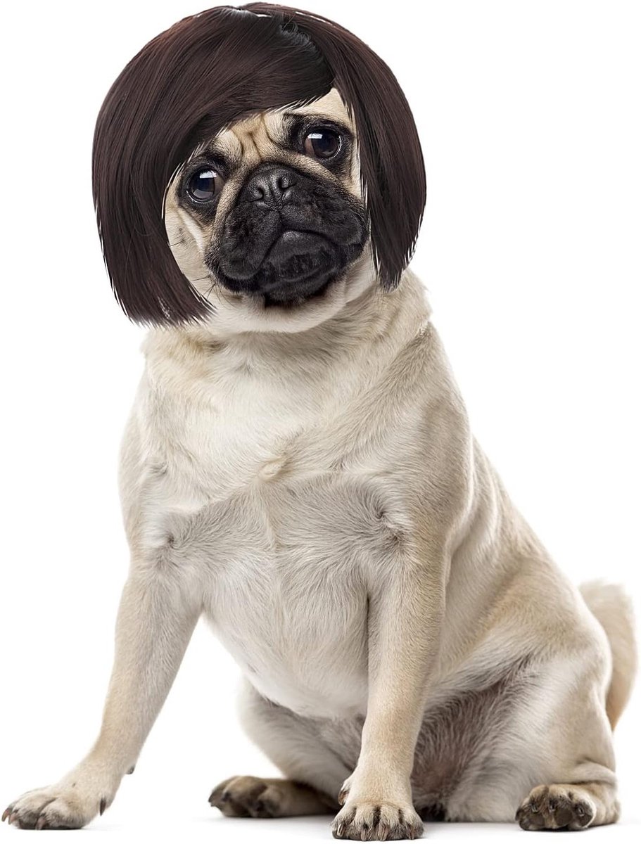 Grappige Dierenperruque voor Honden en Katten | Verstelbaar Kostuum voor Halloween en Kerstdecoraties | Leuk Hoofddeksel voor Kleine en Middelgrote Huisdieren