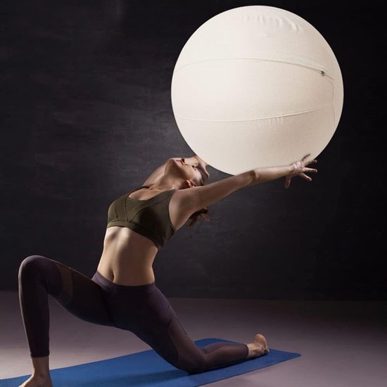 Stability Balance Ball Cover Training Ball Cover Yoga Ball Wrap for Home Pilates Gym Exercise Anti Slip Cover — afbeelding 3