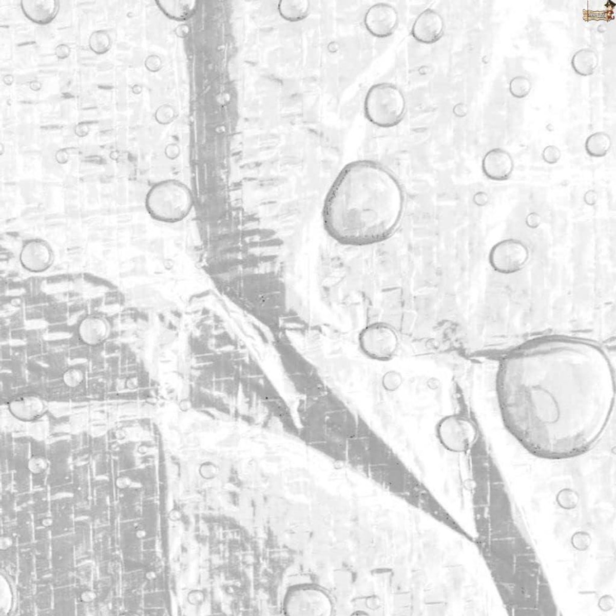 Waterdicht Tarp - Afdekzeil Zeil - Bescherming Buiten - Volledig Verstevigd - 2 x 3 meter - Wit
