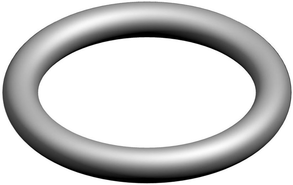 BOSCH O-ring (10x), 87100030160