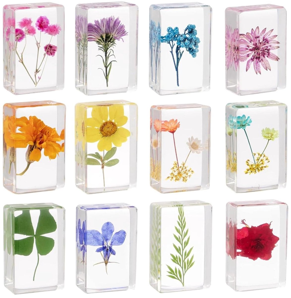 Hars Bloemen - Papiergewichten - Bureau Decoratie - Echte Bloemen - 5x5x5cm - Transparant