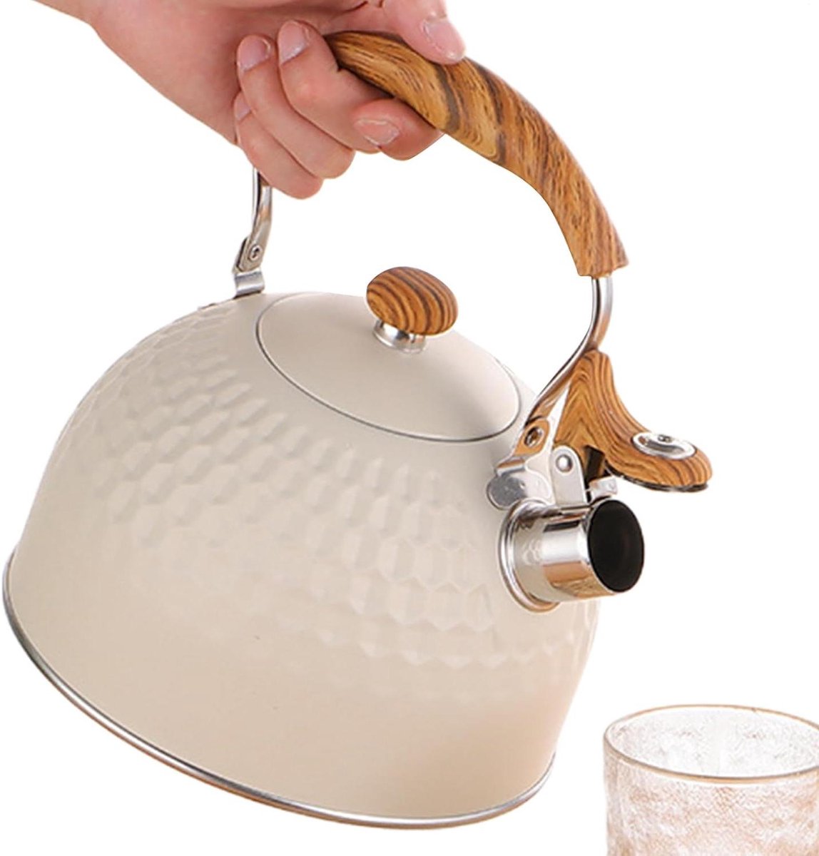 Waterkoker Roestvrij Staal - Theepot Fluitketel - Water Koken - Snelle Warmteverspreiding - 2.5L - Zilver