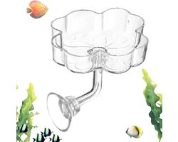 Aquarium Voeder - Voedingsschaal - Vis voeren - Zuignap bevestiging - 6 x 6 x 4 cm - Transparant