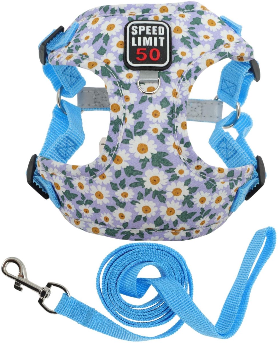 Dailygoods- Hondenharnas Verstelbaar - Hondenriem - Reflecterende Strepen - Veiligheidsslot - Polyester/Katoen - Voor Kleine/Middelgrote Honden en Katten - Tuigje