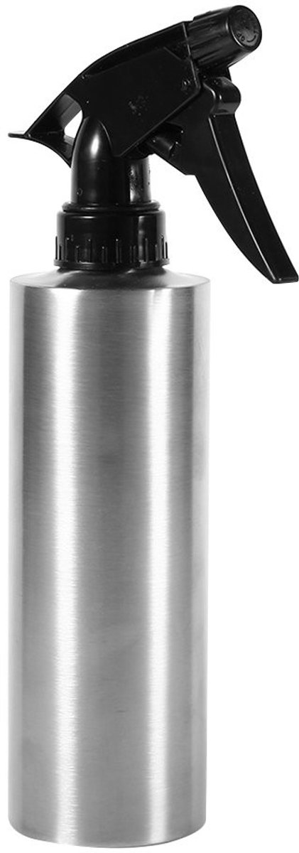 Dailygoods- Gieter 250ml - Roestvrij Staal - Multifunctioneel - Spuitkop - Binnen/Buiten - Gemakkelijk te Gebruiken - Sprayfles