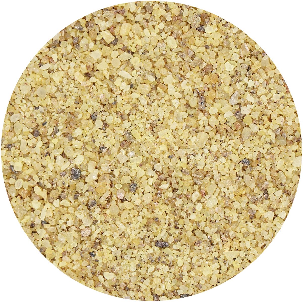Dailygoods- Wierook 200g Boswellia serrata - Natuurlijke Wierook - Meditatie - Spirituele Rituelen - Ontspanning - Harmoniserende Werking - Dhoop