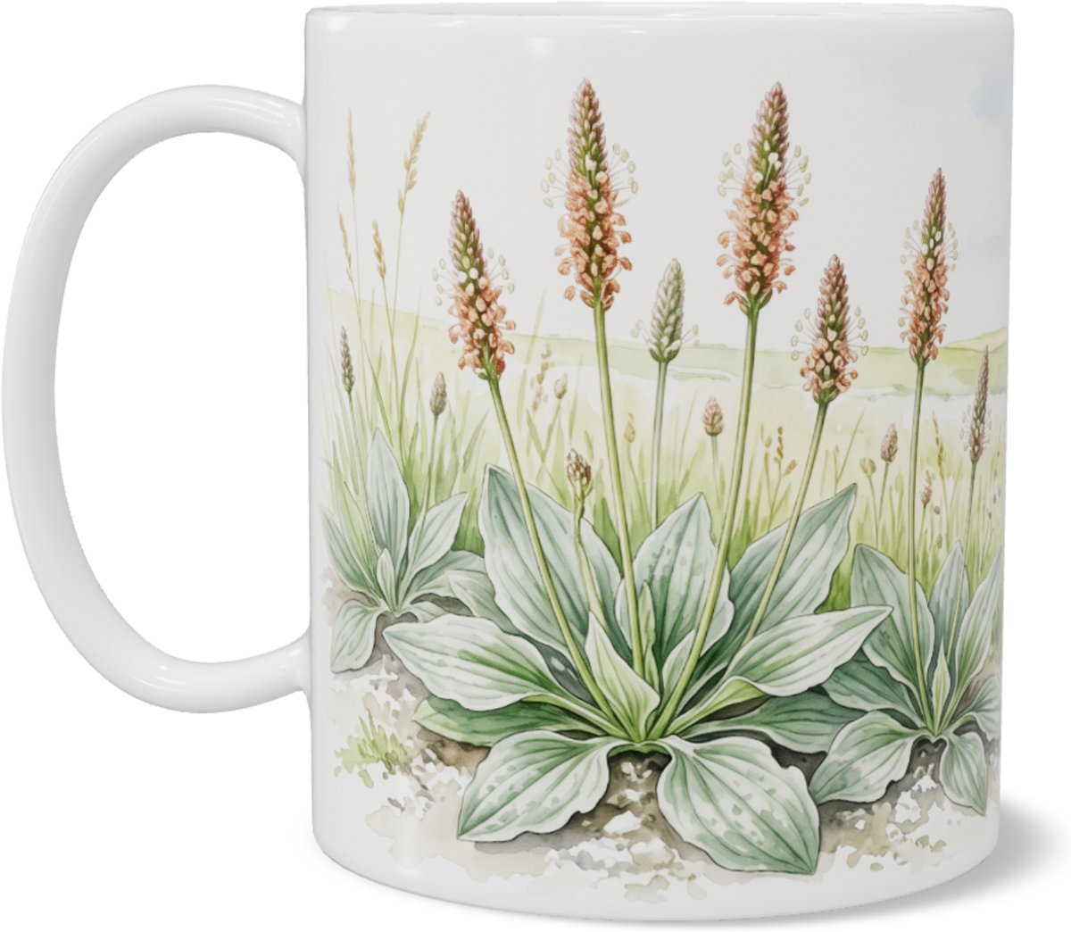 Mok met botanische aquarel van ruige weegbree in een weids landelijk veld