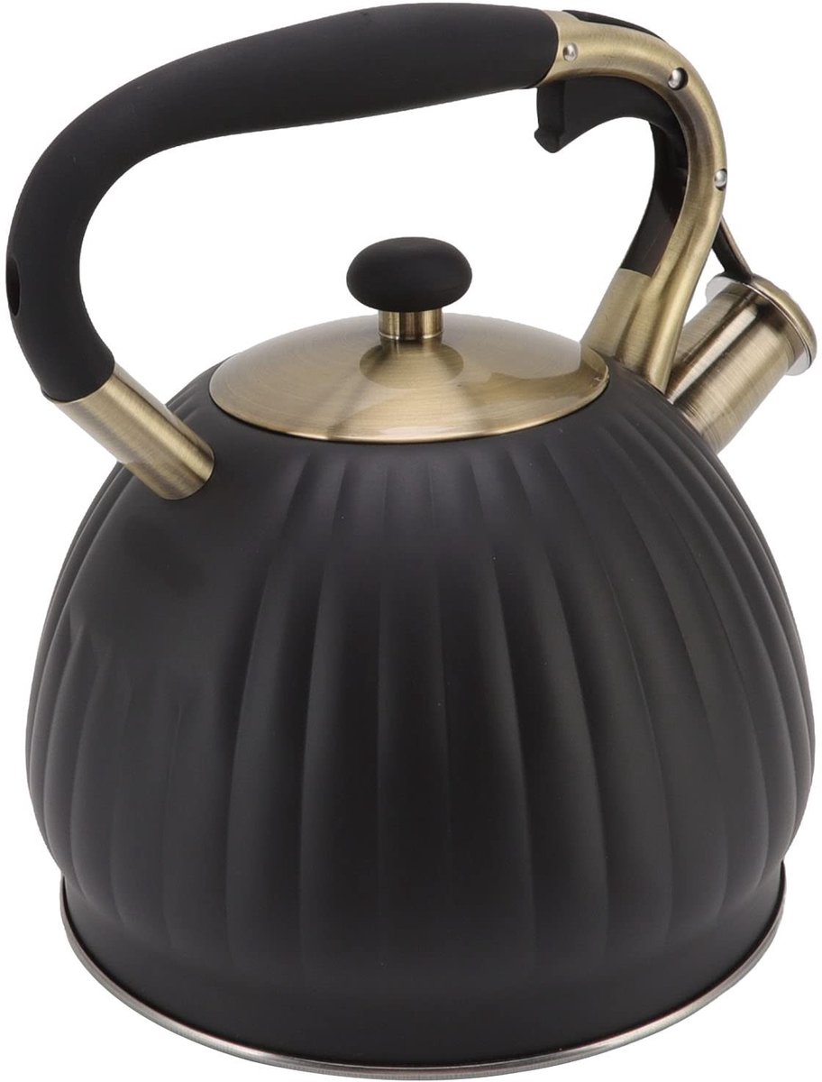 Dailygoods - Roestvrijstalen Theeketel met Fluitsignaal (3,5L)