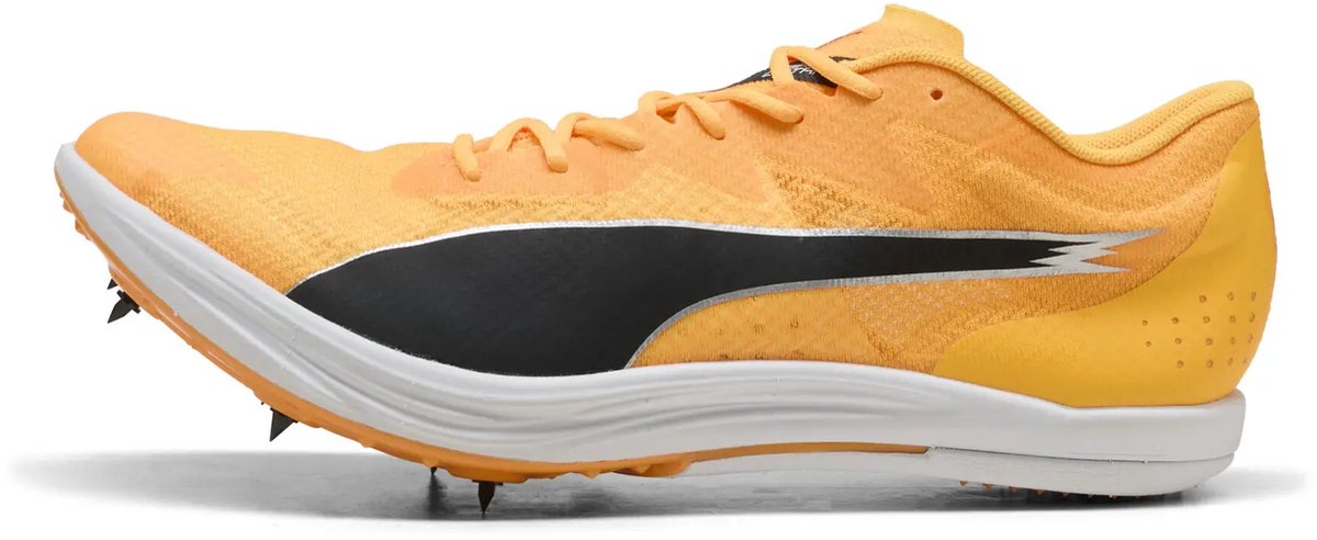 Sportschoenen Puma Evospeed Zwart