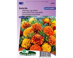 Klein Afrikaantje (Tagetes patula nana) - Afrikaantje Bonita mix - Tagetes - bloeit in Oktober / Juli / Augustus / September