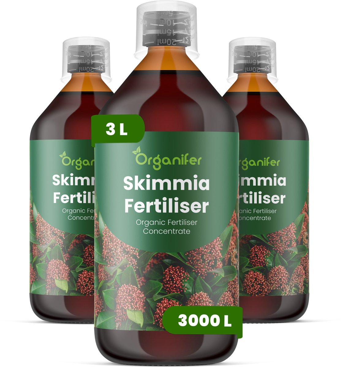 Vloeibare Meststof Voor Skimmia 3X1 L Voor 3000 L - Npk 3-4-3 - Ondersteunt Een Evenwichtige Groei - Bevordert Glanzend, Wintergroen Blad En Een Plantstructuur - Stimuleert Een Betrouwbare Bloei En De Ontwikkeling Van Decoratieve Bessen - Organifer