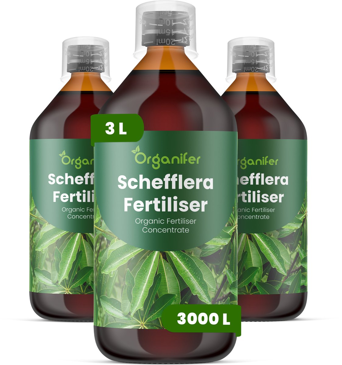 Vloeibare Meststof Voor Schefflera 3X1 L Voor 3000 L - Npk 3-4-3 - Ondersteunt Evenwichtige Groei Bij Schefflera - Bevordert Sterke - Goed Gestructureerde Stelen En Bladgroei - Helpt Een Compacte, Aantrekkelijke Plantvorm Behouden - Organifer