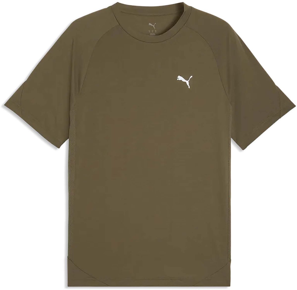 Puma Evostripe T-Shirt Sportswear Volwassen Groen