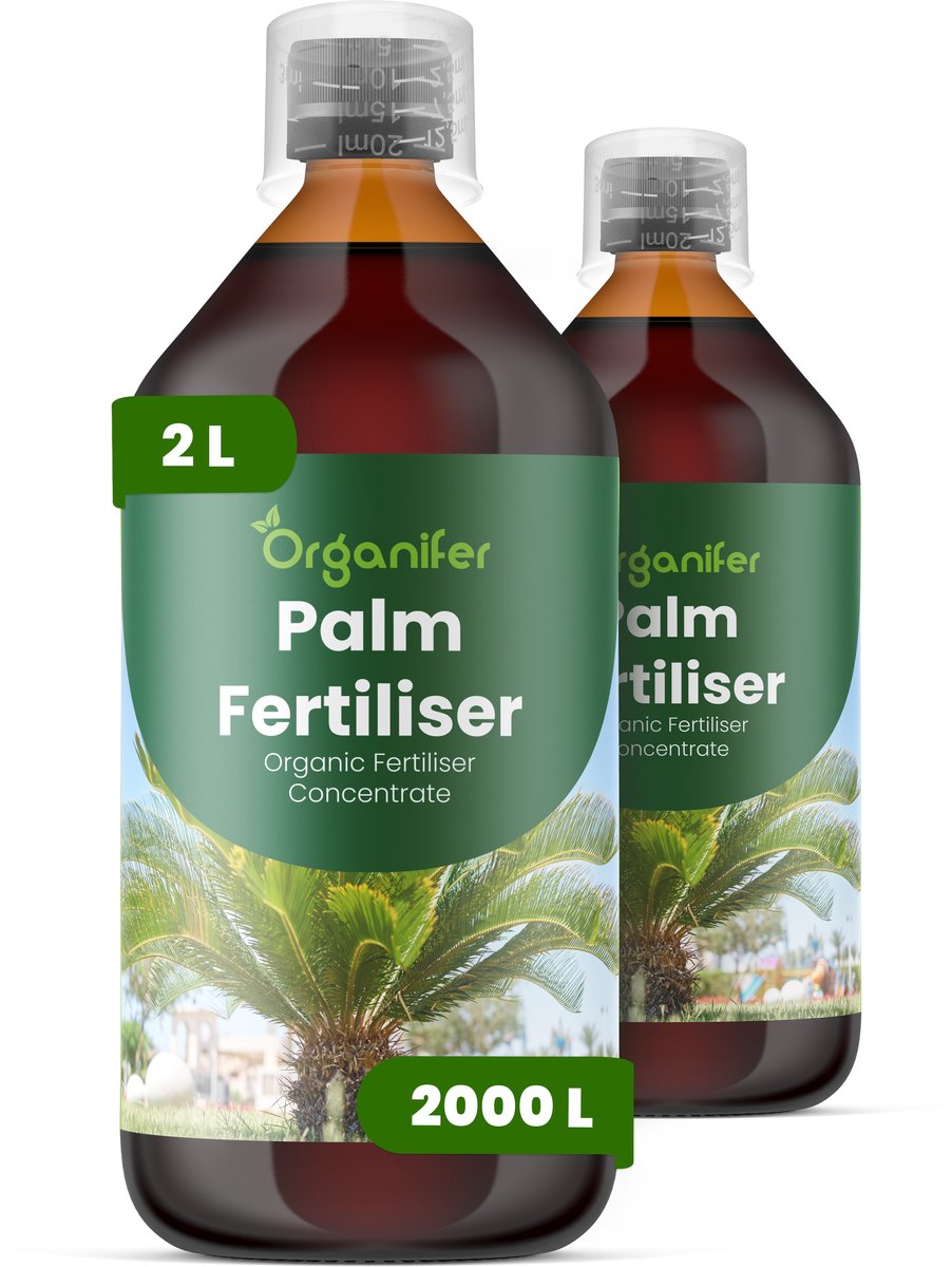 Vloeibare Meststof Voor Palm 2X1 L Voor 2000 L - Npk 2-1-8 - Versterkt Palmbladeren Met Verbeterde Kleur, Glans En Bladtextuur - Ondersteunt Opgaande, Sterke En Goed Gestructureerde Palmgroei - Verbetert De Langetermijnvitaliteit - Organifer