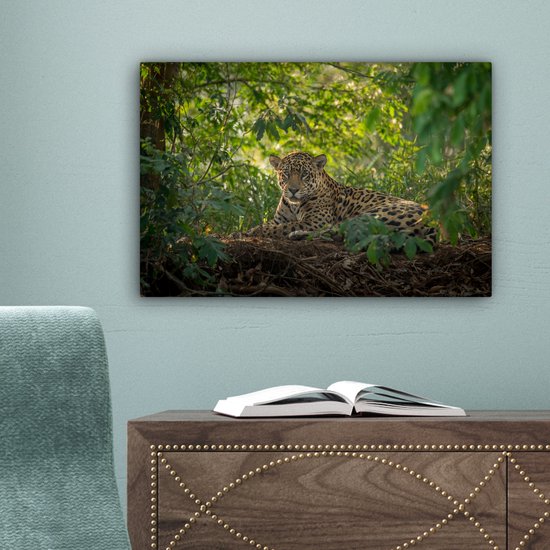 Een jaguar met gevlekte vacht rust in een dichtbegroeide jungle, omringd door groene bladeren en zonlicht.