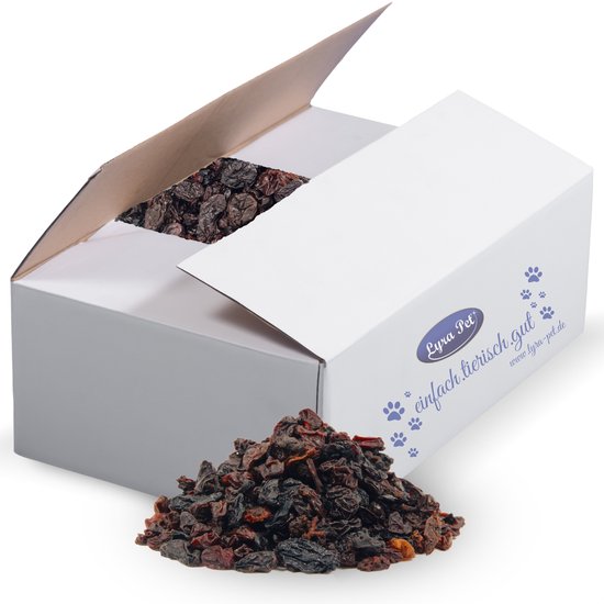 10 kg Lyra Pet® Rozijnen