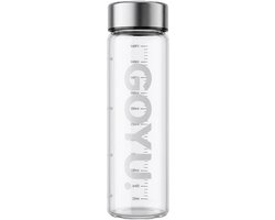 GOYU glazen drinkfles transparant met RVS dop