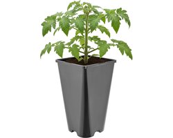 Garronda Hoge vierkante kunststof bloempot met drainagegaten voor tuin (Zwart, 13,5 x 13,5 x 23 cm (3L)) GD-KW-HS
