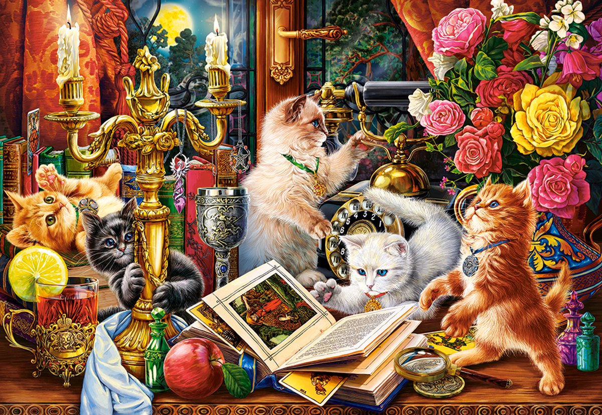 Wizard Kittens Puzzel 1000 Stukjes