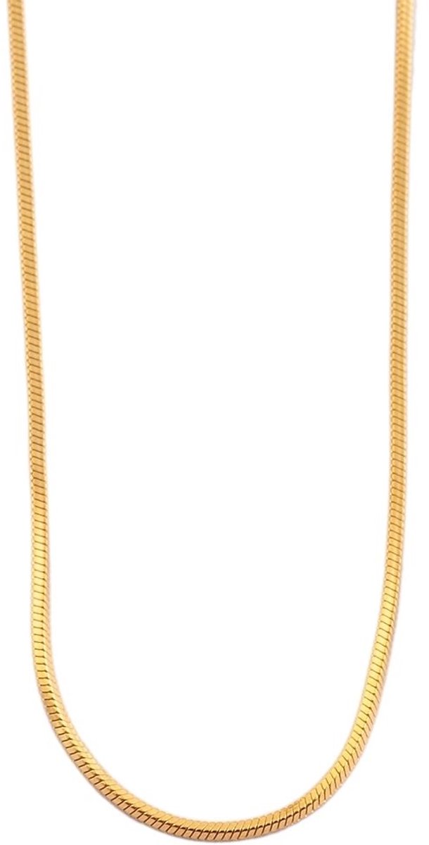 AKZENT Akzent dames ketting Hayet slangenketting, roestvrij staal, goudkleurig, lengte 50 cm, dikte