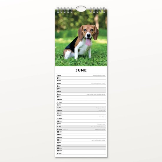 Calendrier Slimline Chiots 2026