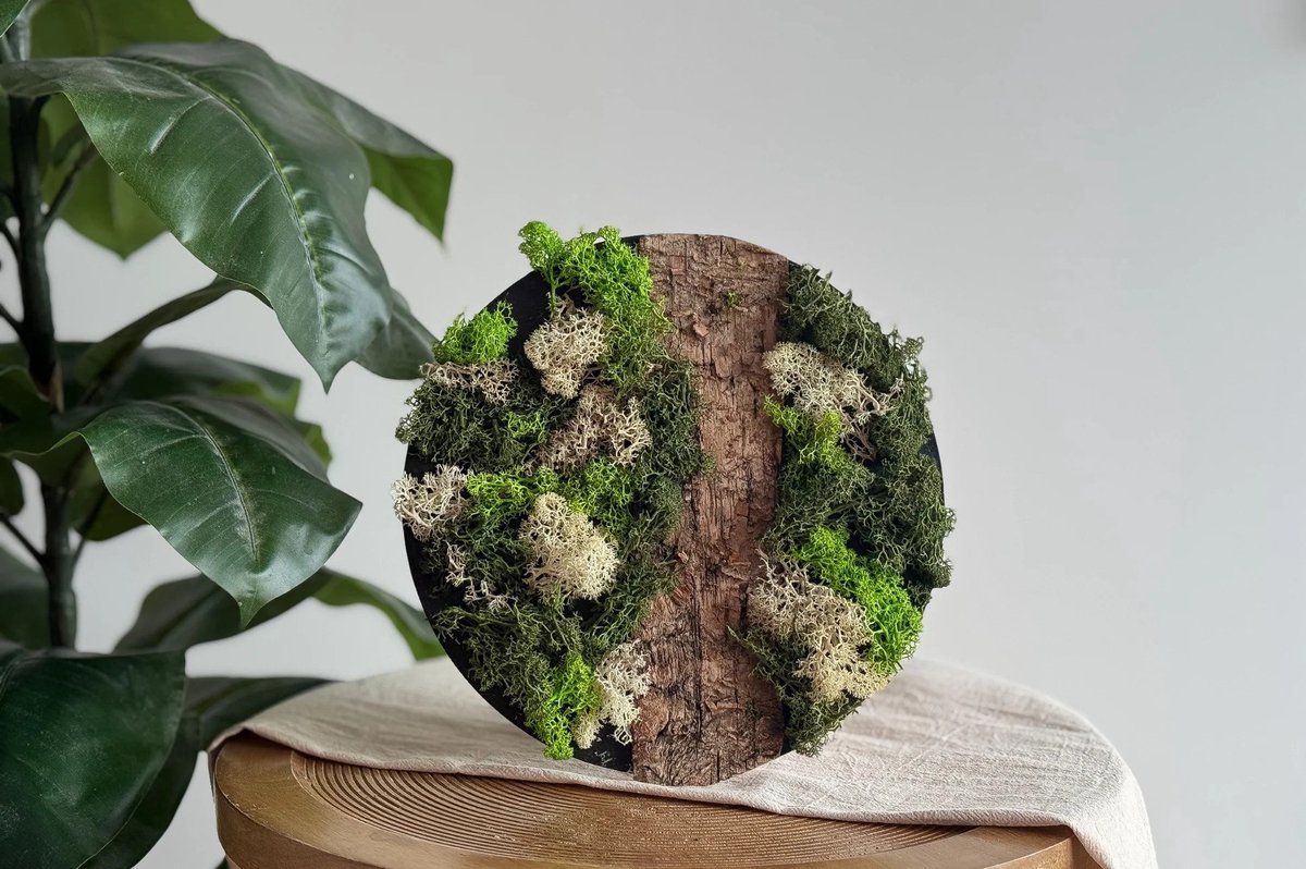 DIY Pakket Mos Schilderij Wit