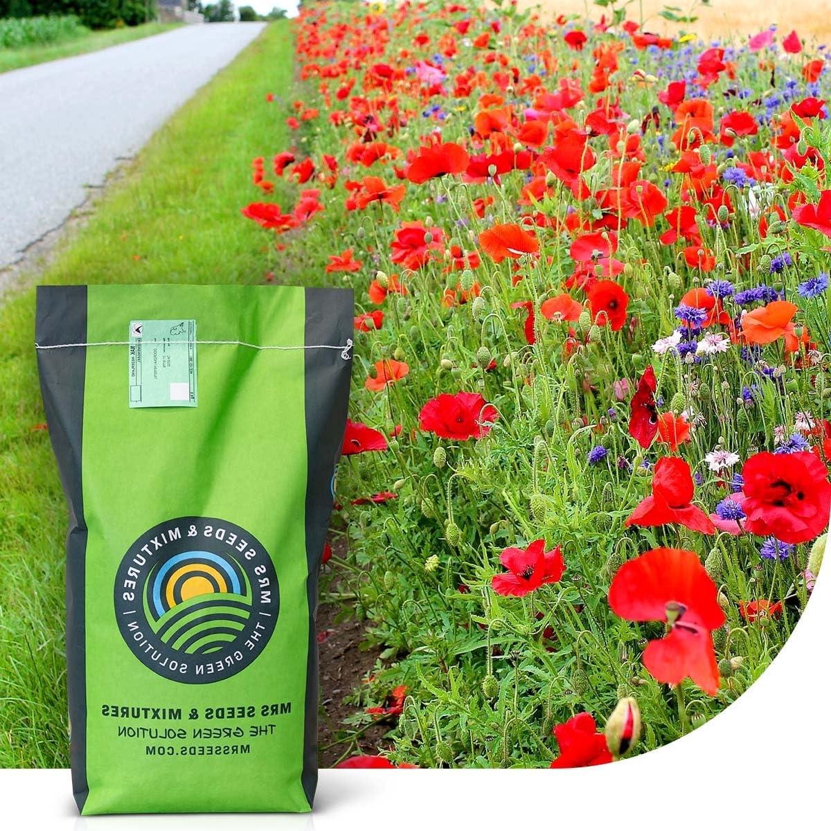 Grasmengsel met bloemen - Bermen zaad - Kleurrijke tuinen - Onderhoudsvriendelijk mengsel - 15 kg - Veelkleurig