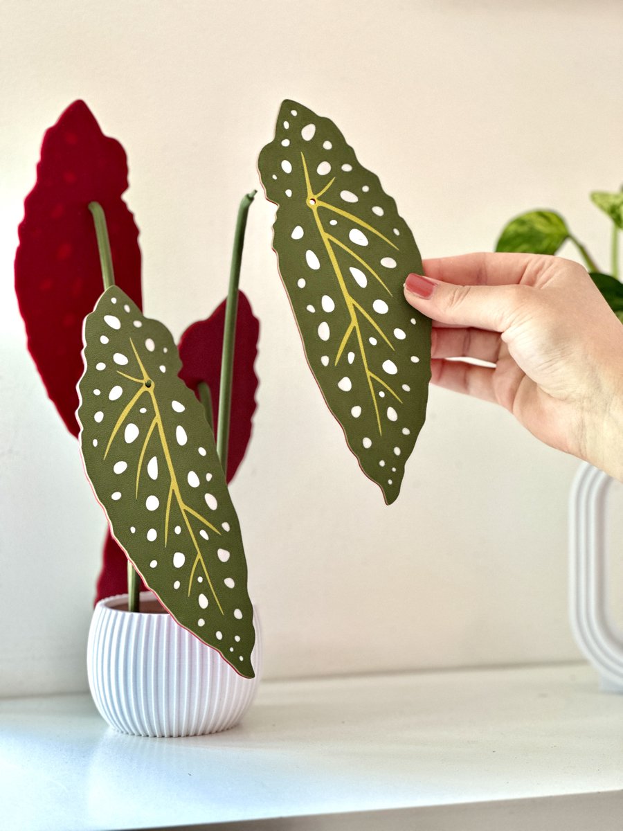 Begonia Maculata Decoratie Plant met Onderzetters – 3D Geprint Bio-Based PLA | Onderzetters voor Glazen | Onderzetters Design | Kunstplant met Afneembare Bladeren | Onderzetters met Houder | Cadeau Plantenmensen
