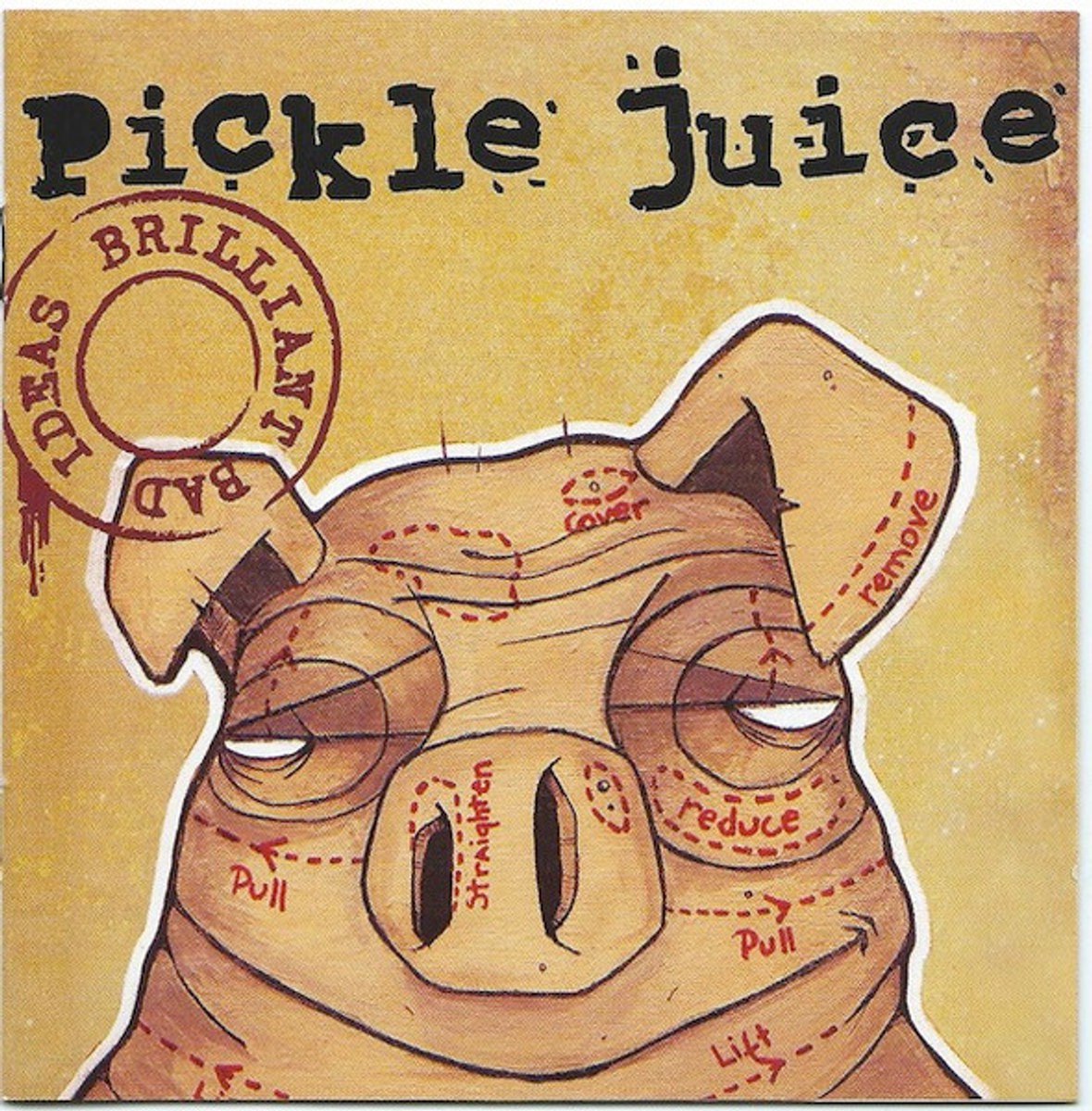 Pickle Juice - Brilliant Bad Ideas