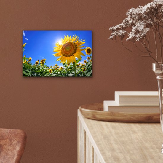 Aluminium schilderij 30x20 cm - Wanddecoratie metaal - Zonnebloemveld vanaf beneden gezien - Metalen muurdecoratie woonkamer - Decoratie industrieel - Foto op dibond - Industriële accessoires slaapkamer