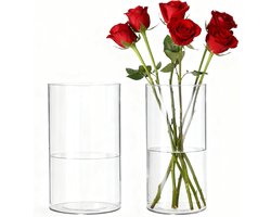 SnelShoppen - Transparante Acryl Vaasje - Schokbestendige Lichtgewicht Cilindrische Bloemenvaas voor Woonkamer, Slaapkamer, Kantoor, Badkamer - Decora