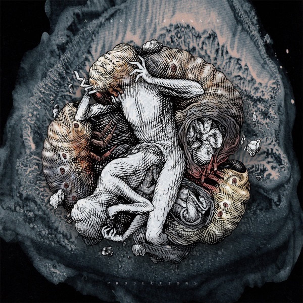 Across The Swarm - Projections (LP)