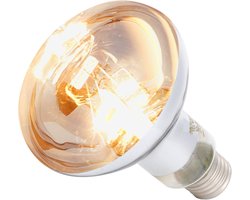 UVB Warmtelamp - Reptielenlamp Zonnebank - Huisdier Welzijn - Bevordert Calciumsynthese - 80W - Transparant