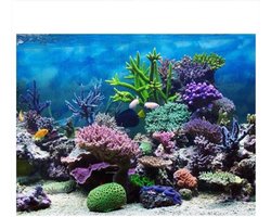 Aquarium Poster Decoratie Onderwater Koraal Decals PVC Zelfklevende Sticker Achtergrond Decoraties (61*30 cm) - Voor Aquariumfans