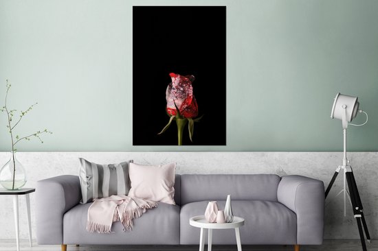 Décoration murale Métal - Peinture Aluminium Industriel - Rose - Zwart - Moule - 120x180 cm - Dibond - Photo sur aluminium - Décoration murale industrielle - Pour le salon/chambre