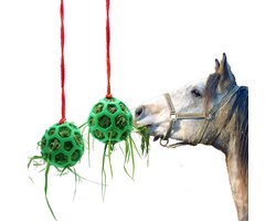 Pack van 2 Voederstations voor Hooi voor Paarden en Geiten, Geschikt voor Hangend Gebruik, Stressverlichting voor Dieren
