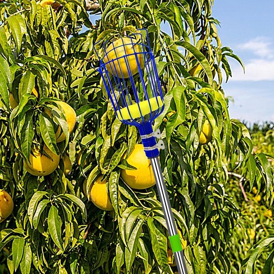 Fruitplukker - Plukstok mand - Fruit oogsten - Telescopische steel - Tot 4 meter - Oranje — afbeelding 2