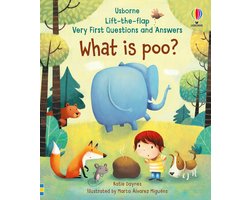 What is Poo?