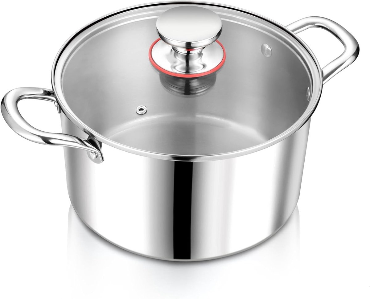 RVS Kookpan met Glazen Deksel, 20 cm - Gezonde Soep- en Vleespan, Geschikt voor Inductie en Oven