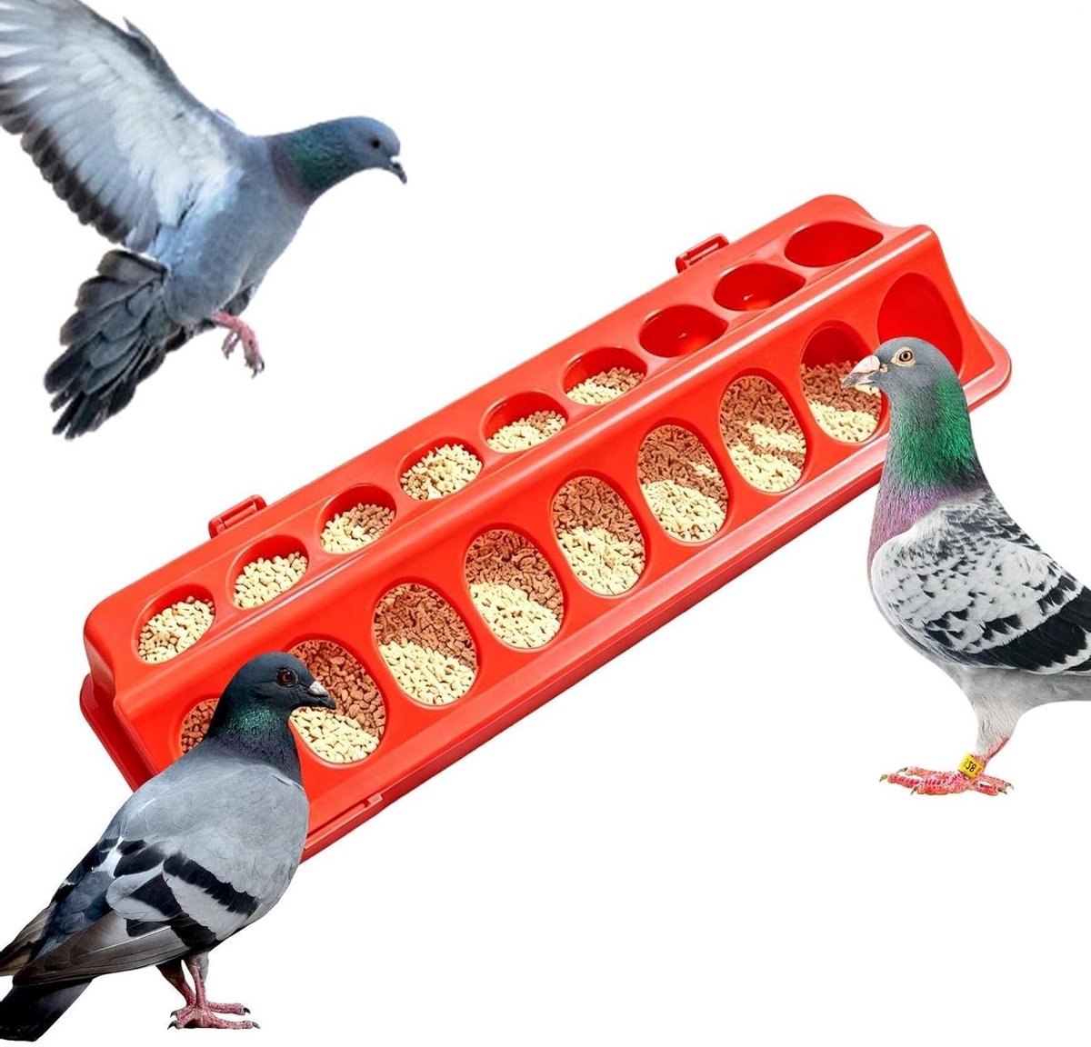 Kippen Voerbak | Anti-Lek Gemakkelijk Te Vullen Dierenbak | Voederstation Voor Meerdere Vogels - Voor Kuikens Eendenkuikens Ganzenkuikens Kwartels Eenden Dieren Huishouden Boerderij